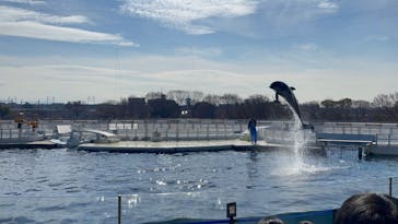 京都水族館に投稿された画像（2024/2/11）