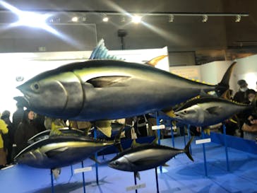 特別展「和食 ～日本の自然、人々の知恵～」に投稿された画像（2024/2/11）