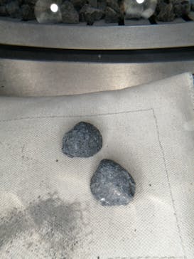 福井県立恐竜博物館に投稿された画像（2024/2/11）