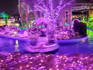 ひらかたパークに投稿された画像（2024/2/11）