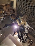 国立科学博物館に投稿された画像（2024/2/11）