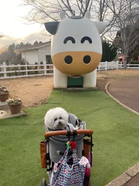 成田ゆめ牧場に投稿された画像（2024/2/11）