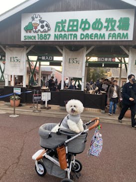 成田ゆめ牧場に投稿された画像（2024/2/11）