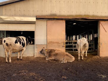 成田ゆめ牧場に投稿された画像（2024/2/11）