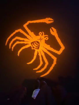 サンシャイン水族館に投稿された画像（2024/2/11）