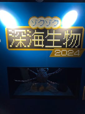 サンシャイン水族館に投稿された画像（2024/2/11）