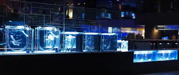 すみだ水族館に投稿された画像（2024/2/9）