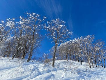 エイブル白馬五竜＆Hakuba47に投稿された画像（2024/2/11）