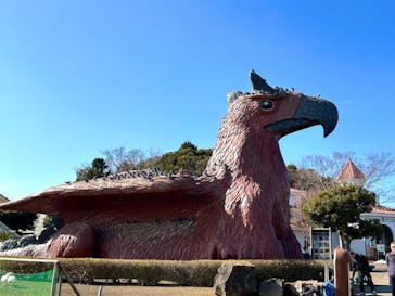 伊豆シャボテン動物公園に投稿された画像（2024/2/11）