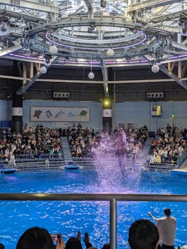 マクセル アクアパーク品川に投稿された画像（2024/2/11）