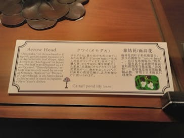 ニューヨークランプミュージアム＆フラワーガーデンに投稿された画像（2024/2/11）