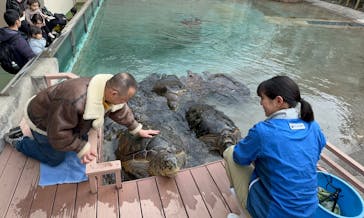 新江ノ島水族館に投稿された画像（2024/2/11）