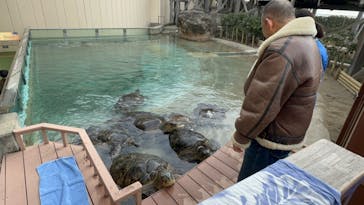 新江ノ島水族館に投稿された画像（2024/2/11）