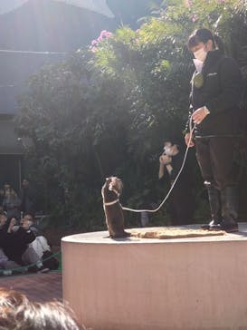 マクセル アクアパーク品川に投稿された画像（2024/2/11）