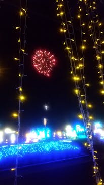 鹿児島イルミナージュに投稿された画像（2024/2/11）