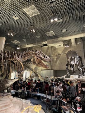 国立科学博物館に投稿された画像（2024/2/11）