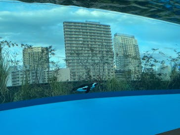 サンシャイン水族館に投稿された画像（2024/2/11）