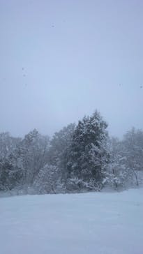 赤倉温泉スキー場に投稿された画像（2024/2/11）