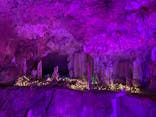 石垣島鍾乳洞に投稿された画像（2024/2/11）