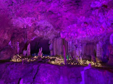 石垣島鍾乳洞に投稿された画像（2024/2/11）