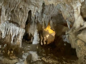 石垣島鍾乳洞に投稿された画像（2024/2/11）