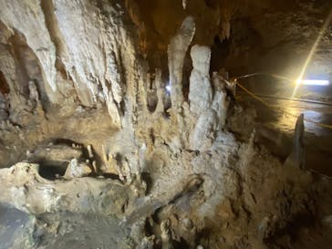 石垣島鍾乳洞に投稿された画像（2024/2/11）