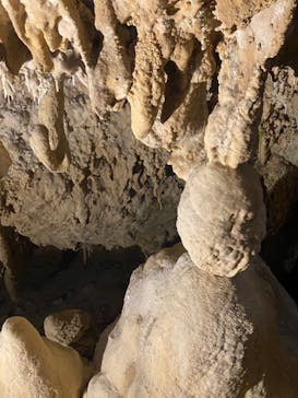 石垣島鍾乳洞に投稿された画像（2024/2/11）