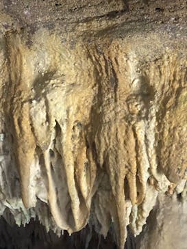 石垣島鍾乳洞に投稿された画像（2024/2/11）