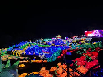 伊豆ぐらんぱる公園に投稿された画像（2024/2/11）