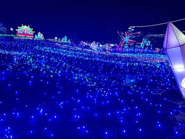 伊豆ぐらんぱる公園に投稿された画像（2024/2/11）