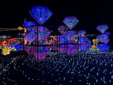 伊豆ぐらんぱる公園に投稿された画像（2024/2/11）