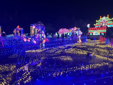 伊豆ぐらんぱる公園に投稿された画像（2024/2/11）
