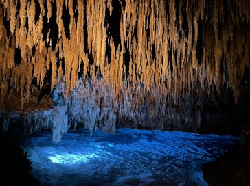 おきなわワールドに投稿された画像（2024/2/11）