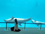 名古屋港水族館に投稿された画像（2024/2/11）