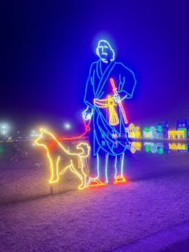 鹿児島イルミナージュに投稿された画像（2024/2/11）