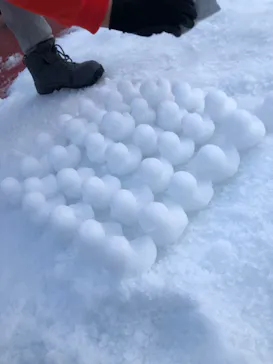 ひらかたパークに投稿された画像（2024/2/11）