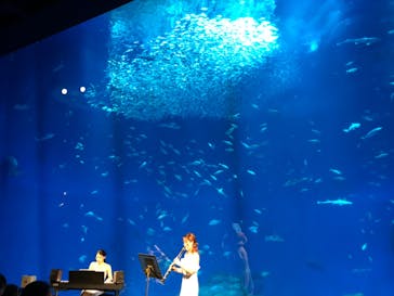アクアワールド茨城県大洗水族館に投稿された画像（2024/2/11）