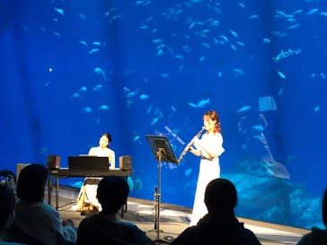 アクアワールド茨城県大洗水族館に投稿された画像（2024/2/11）