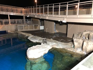 アクアワールド茨城県大洗水族館に投稿された画像（2024/2/11）