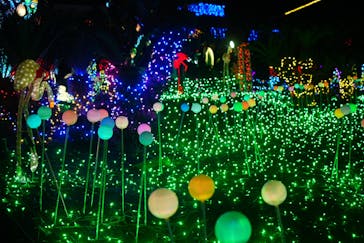 伊豆ぐらんぱる公園に投稿された画像（2024/2/11）