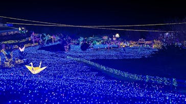 伊豆ぐらんぱる公園に投稿された画像（2024/2/11）