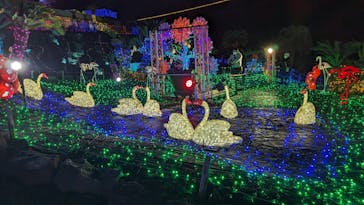 伊豆ぐらんぱる公園に投稿された画像（2024/2/11）