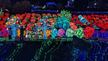 伊豆ぐらんぱる公園に投稿された画像（2024/2/11）