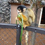 伊豆シャボテン動物公園に投稿された画像（2024/2/12）