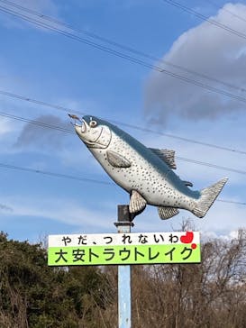 大安トラウトレイクに投稿された画像（2024/2/11）