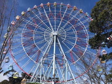 浜名湖パルパルに投稿された画像（2024/2/12）