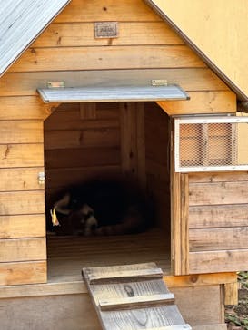 千葉市動物公園に投稿された画像（2024/2/12）