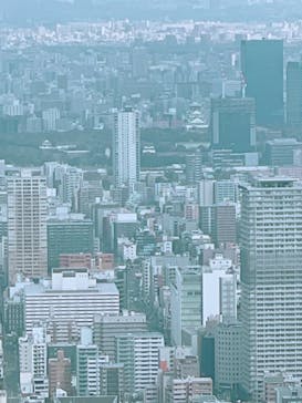 ハルカス300(展望台)に投稿された画像（2024/2/12）