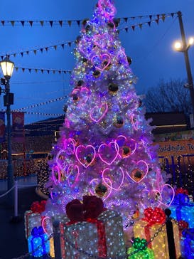 さがみ湖MORI MORIに投稿された画像（2024/2/12）