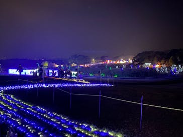 鹿児島イルミナージュに投稿された画像（2024/2/12）